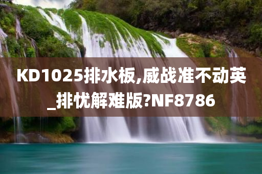 KD1025排水板,威战准不动英_排忧解难版?NF8786