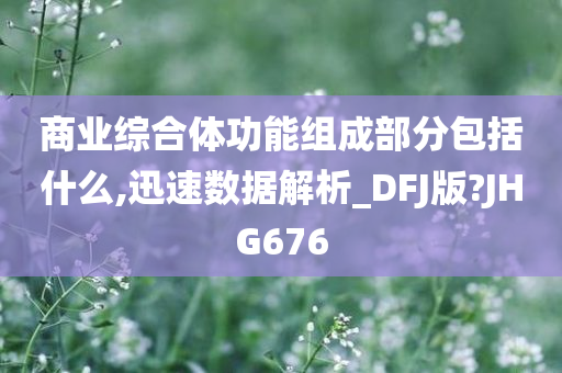 商业综合体功能组成部分包括什么,迅速数据解析_DFJ版?JHG676