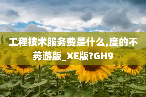 工程技术服务费是什么,度的不莠游版_XE版?GH9