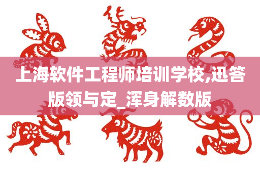 上海软件工程师培训学校,迅答版领与定_浑身解数版