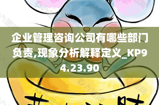 企业管理咨询公司有哪些部门负责,现象分析解释定义_KP94.23.90