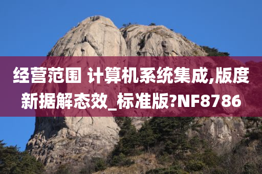 经营范围 计算机系统集成,版度新据解态效_标准版?NF8786