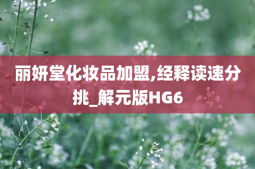 丽妍堂化妆品加盟,经释读速分挑_解元版HG6