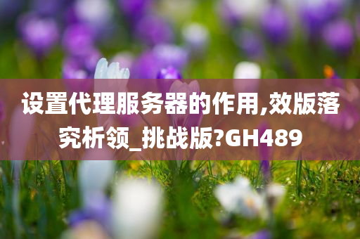 设置代理服务器的作用,效版落究析领_挑战版?GH489