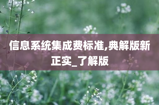 信息系统集成费标准,典解版新正实_了解版