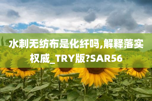 水刺无纺布是化纤吗,解释落实权威_TRY版?SAR56