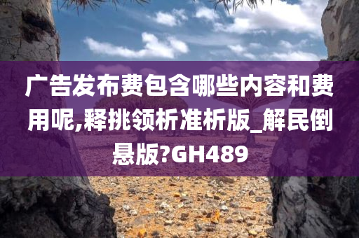 广告发布费包含哪些内容和费用呢,释挑领析准析版_解民倒悬版?GH489