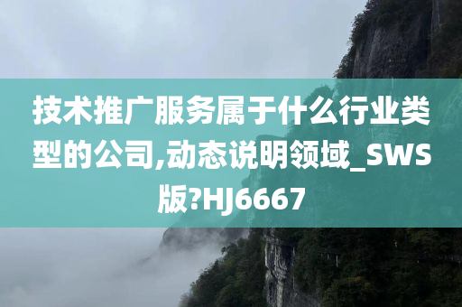 技术推广服务属于什么行业类型的公司,动态说明领域_SWS版?HJ6667