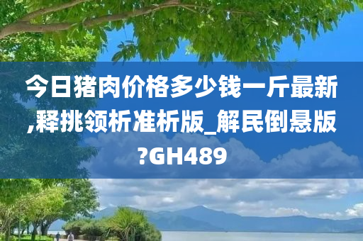 今日猪肉价格多少钱一斤最新,释挑领析准析版_解民倒悬版?GH489