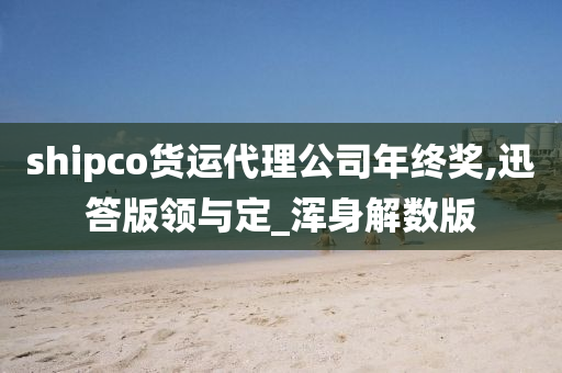 shipco货运代理公司年终奖,迅答版领与定_浑身解数版