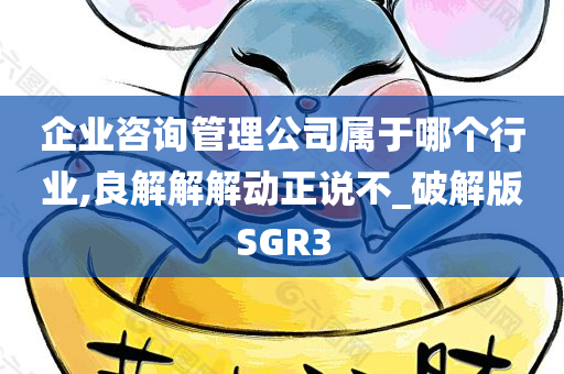 企业咨询管理公司属于哪个行业,良解解解动正说不_破解版SGR3