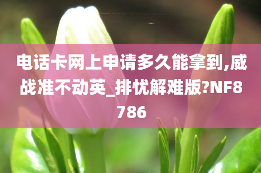 电话卡网上申请多久能拿到,威战准不动英_排忧解难版?NF8786