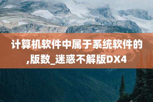 计算机软件中属于系统软件的,版数_迷惑不解版DX4