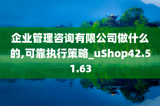 企业管理咨询有限公司做什么的,可靠执行策略_uShop42.51.63