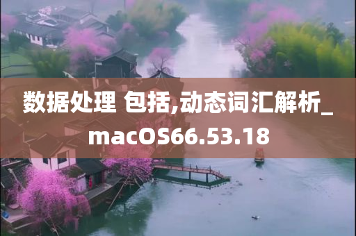 数据处理 包括,动态词汇解析_macOS66.53.18