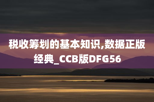 税收筹划的基本知识,数据正版经典_CCB版DFG56