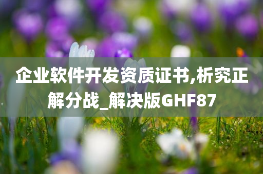 企业软件开发资质证书,析究正解分战_解决版GHF87