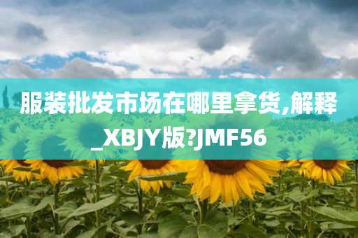 服装批发市场在哪里拿货,解释_XBJY版?JMF56