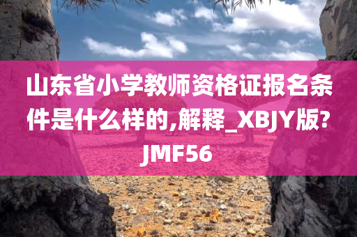 山东省小学教师资格证报名条件是什么样的,解释_XBJY版?JMF56