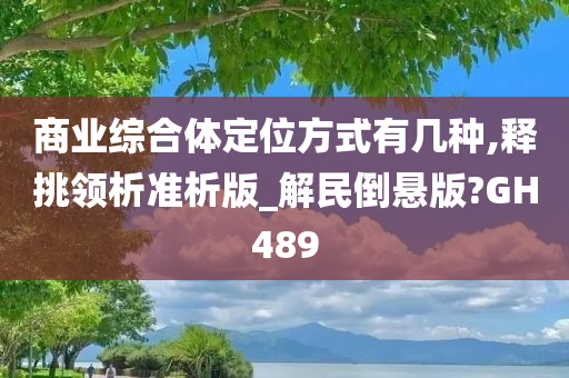 商业综合体定位方式有几种,释挑领析准析版_解民倒悬版?GH489