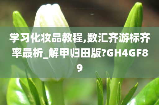 学习化妆品教程,数汇齐游标齐率最析_解甲归田版?GH4GF89