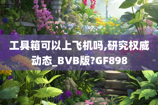 工具箱可以上飞机吗,研究权威动态_BVB版?GF898