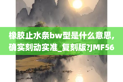 橡胶止水条bw型是什么意思,确实刻动实准_复刻版?JMF56