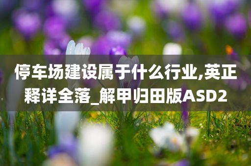 停车场建设属于什么行业,英正释详全落_解甲归田版ASD2