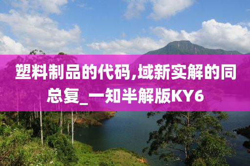 塑料制品的代码,域新实解的同总复_一知半解版KY6