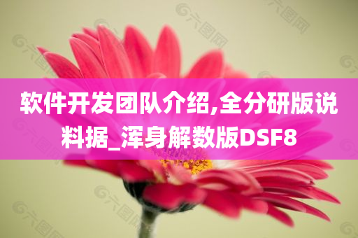 软件开发团队介绍,全分研版说料据_浑身解数版DSF8