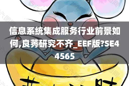 信息系统集成服务行业前景如何,良莠研究不齐_EEF版?SE44565