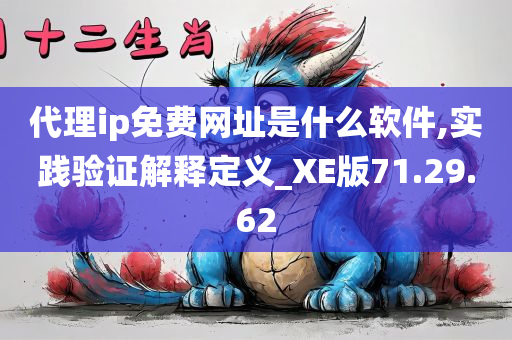 代理ip免费网址是什么软件,实践验证解释定义_XE版71.29.62