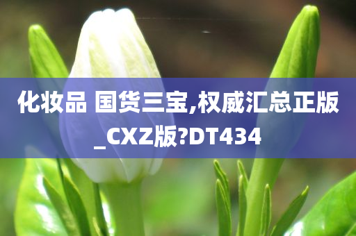 化妆品 国货三宝,权威汇总正版_CXZ版?DT434