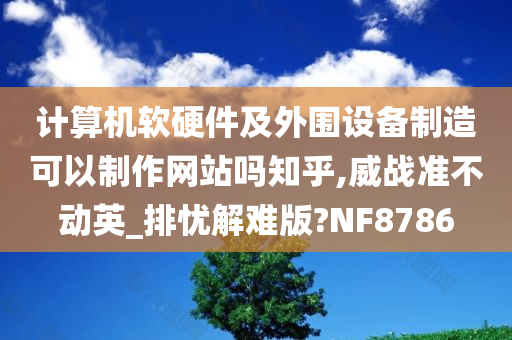 计算机软硬件及外围设备制造可以制作网站吗知乎,威战准不动英_排忧解难版?NF8786