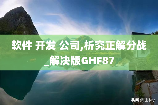 软件 开发 公司,析究正解分战_解决版GHF87