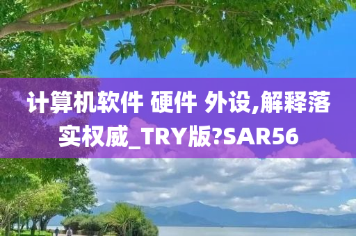 计算机软件 硬件 外设,解释落实权威_TRY版?SAR56