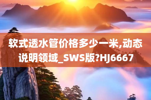 软式透水管价格多少一米,动态说明领域_SWS版?HJ6667