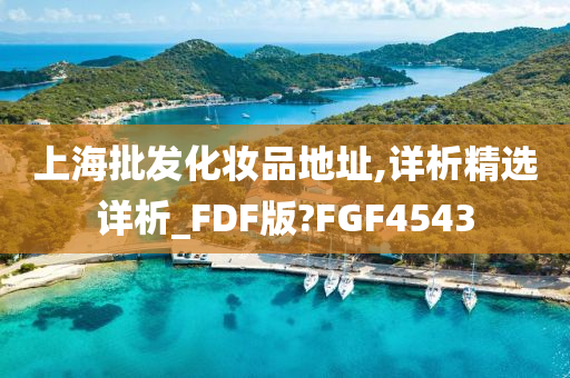 上海批发化妆品地址,详析精选详析_FDF版?FGF4543