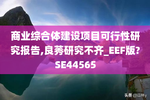 商业综合体建设项目可行性研究报告,良莠研究不齐_EEF版?SE44565