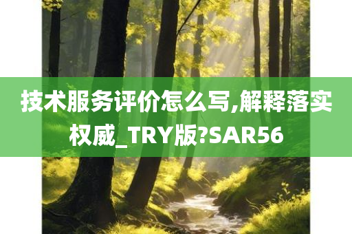 技术服务评价怎么写,解释落实权威_TRY版?SAR56