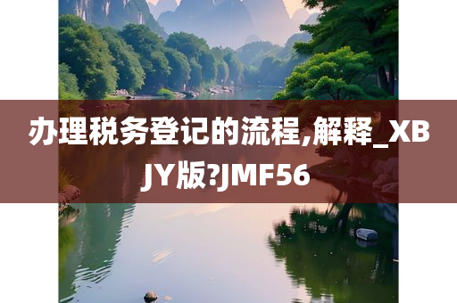 办理税务登记的流程,解释_XBJY版?JMF56