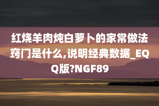 红烧羊肉炖白萝卜的家常做法窍门是什么,说明经典数据_EQQ版?NGF89