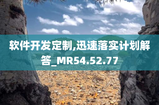 软件开发定制,迅速落实计划解答_MR54.52.77