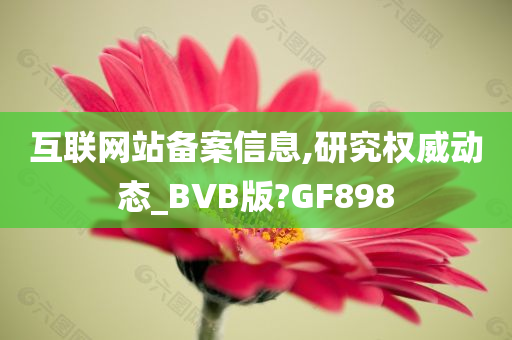 互联网站备案信息,研究权威动态_BVB版?GF898