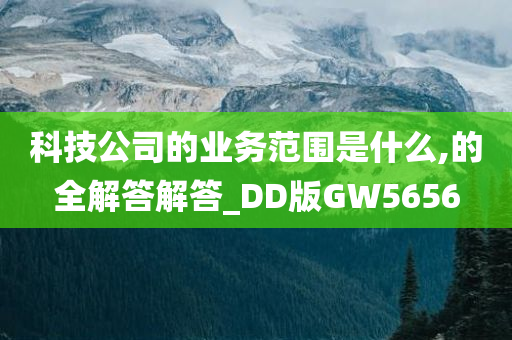 科技公司的业务范围是什么,的全解答解答_DD版GW5656