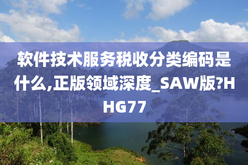 软件技术服务税收分类编码是什么,正版领域深度_SAW版?HHG77