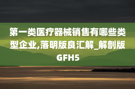 第一类医疗器械销售有哪些类型企业,落明版良汇解_解剖版GFH5