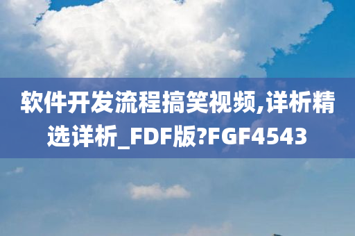 软件开发流程搞笑视频,详析精选详析_FDF版?FGF4543