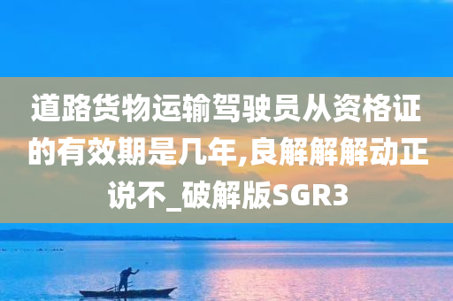 道路货物运输驾驶员从资格证的有效期是几年,良解解解动正说不_破解版SGR3