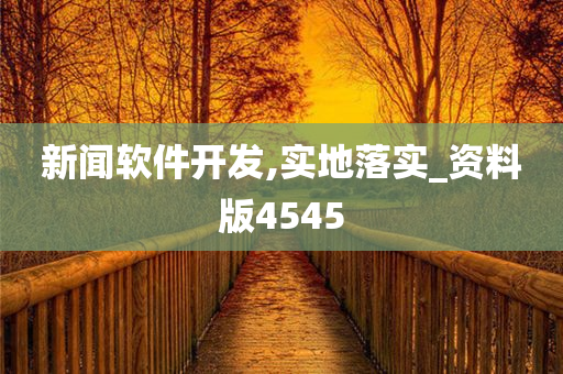 新闻软件开发,实地落实_资料版4545